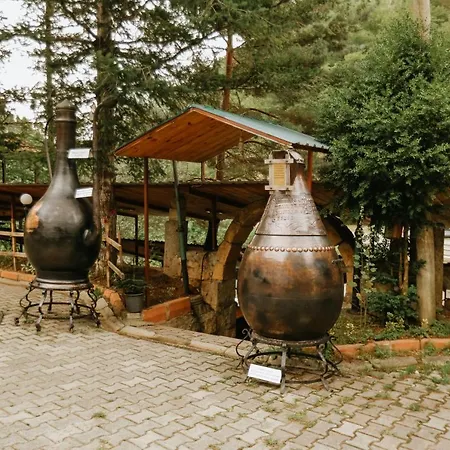 Hotel Suemela *